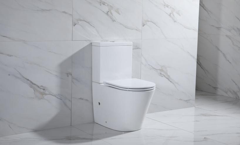 Identifying High-Quality Two-Piece Toilets for Global Distribution
