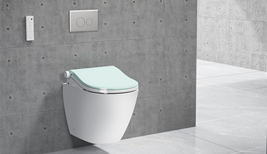 You need a warm smart toilet seat in cold winter