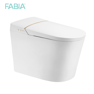 FA-935 Wholesale Cheap 110V/220V Auto Open One Piece Integrated Smart Wc Closestool Ceramic Intelligent Automatic Toilet