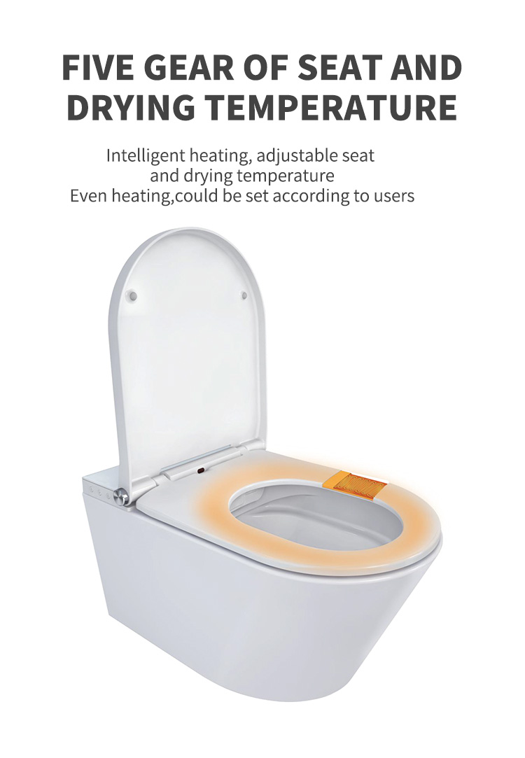 smart toilet 971-9