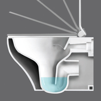rimless toilet