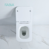 H814B Square Design Rimless Flushing Ceramic Wall Mounted Toilet