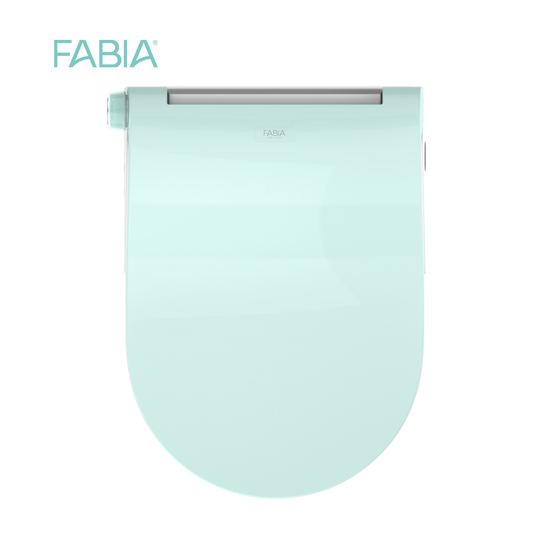 FC-605-U Simple design bathroom full function electric smart bidet toilet seat cover set