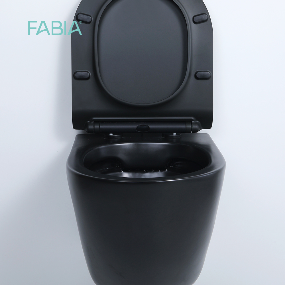 black wall toilet